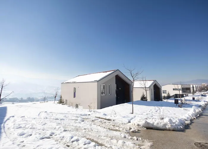 Aeris Panoramic View *